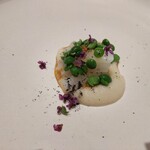 馳走西健一 - アオリイカ　玉ねぎムース