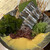 ガオリュウ - 料理写真:キビナゴは単品で食えとのこと