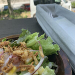 ジョシュアツリー - 