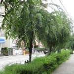 相生 - 店の前の風景