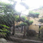 相生 - なぜ窓に格子ガラが・・・