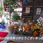Imaya No Hambaga - R5.5/5オープン