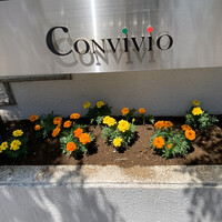 Convivio - 