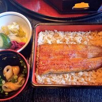 鰻割烹 伊豆栄 本店 -  鰻割烹 伊豆栄 本店 -