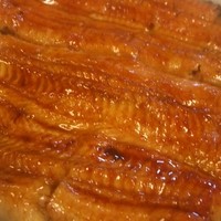 うなぎ秋本 - 