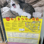 Meishu Senta Ochanomizu Ten - ねこまつりのポスター