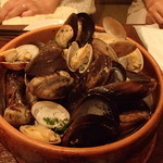 イタリアンバール ブオンクオーレ 飯田橋 - 宴会コースのムール貝とアサリの白ワイン蒸し