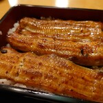 Unagi Kanda Miujinshita Kigawa - 