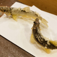 てんぷら 真 - 