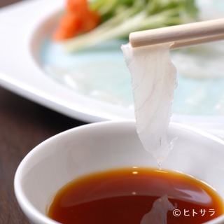 フグ料理の薄造り『てっさ』