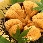 George - ガゼ雲丹（宮城・石巻産）