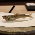 Tempura Arakawa - 