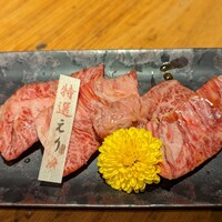 但馬屋 心斎橋 - 特選えり