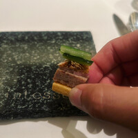 カンテサンス - 