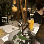 イノベーティブ フレンチ ワタハン - 