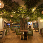 ヨンチャンプルコギ - 