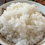 猫丸食堂 - ★最初のごはん