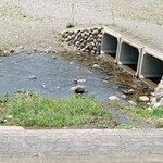 蔵カフェ 草風庵 - 飯能河原の風景④