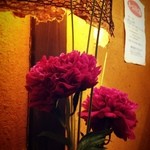 蕎麦切塩釜 - 芍薬