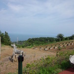 一夜城 ヨロイヅカ・ファーム - 