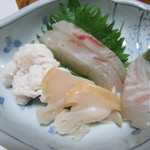 ・・・ - タイ、ハモ、ニシキガイ