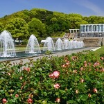 元祖 平壌冷麺屋 - 須磨離宮公園