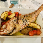 ラ・テンダ・ロッサ - 尾長鯛のロースト