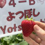 姫路ハートフル観光農園 - 