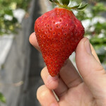 姫路ハートフル観光農園 - 