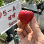 姫路ハートフル観光農園 - 