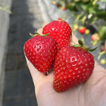 姫路ハートフル観光農園 - 