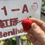 姫路ハートフル観光農園 - 