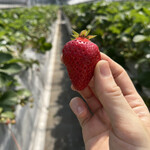 姫路ハートフル観光農園 - 