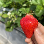 姫路ハートフル観光農園 - 