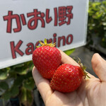 姫路ハートフル観光農園 - 