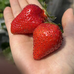 姫路ハートフル観光農園 - 