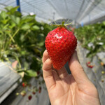 姫路ハートフル観光農園 - 