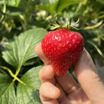 姫路ハートフル観光農園 - 