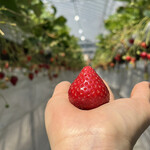 姫路ハートフル観光農園 - 