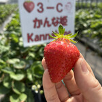 姫路ハートフル観光農園 - 