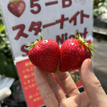 姫路ハートフル観光農園 - 