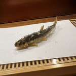 天婦羅 みやしろ - 