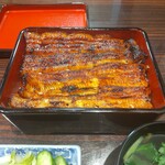 うなぎ 魚政 - うな重、ブランドうなぎ 特上