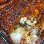 うなぎ 魚政 - うな重、ブランドうなぎ 特上