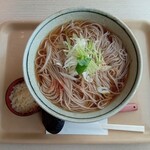蕎麦・天麩羅 そじ坊 - かけそば（追加そば1玉）