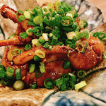 穴子料理と地酒 浅草 川井 - 