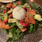 Chef‘S Kitchen Shun - 生モッツァレラとフルーツトマト　アボガドのサラダ　スモークサーモン添え