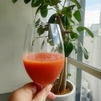 サーラ アマービレ - 