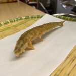 天ぷら はせ川 - ワカサギ　いつ見ても可愛いです