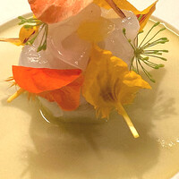 L'EAU - アオリイカ、夏ミカン